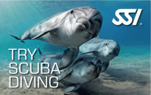 try scuba diving