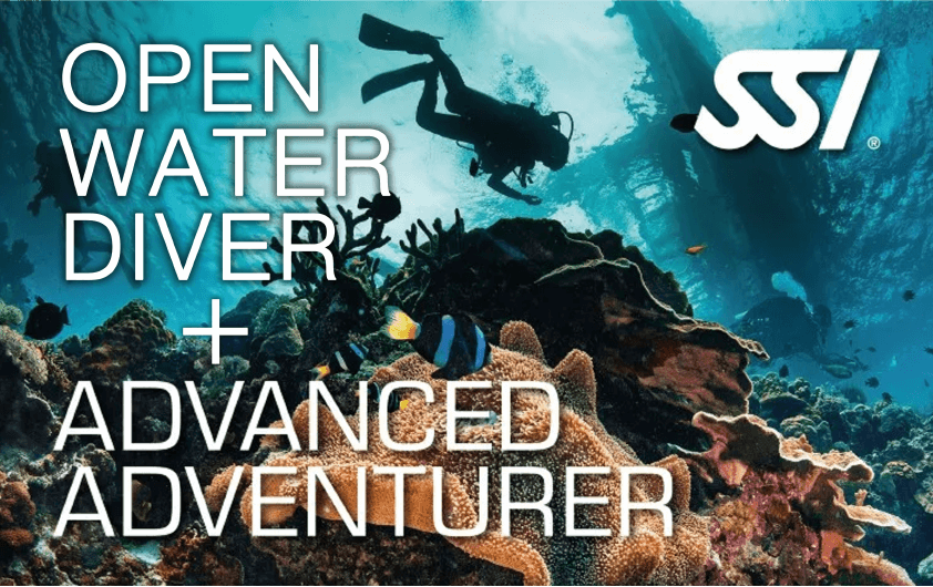 open water diver+advanced adventurer
