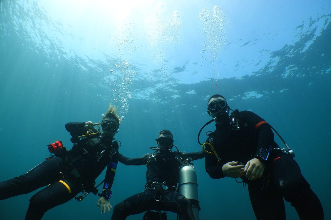 Amity trip13