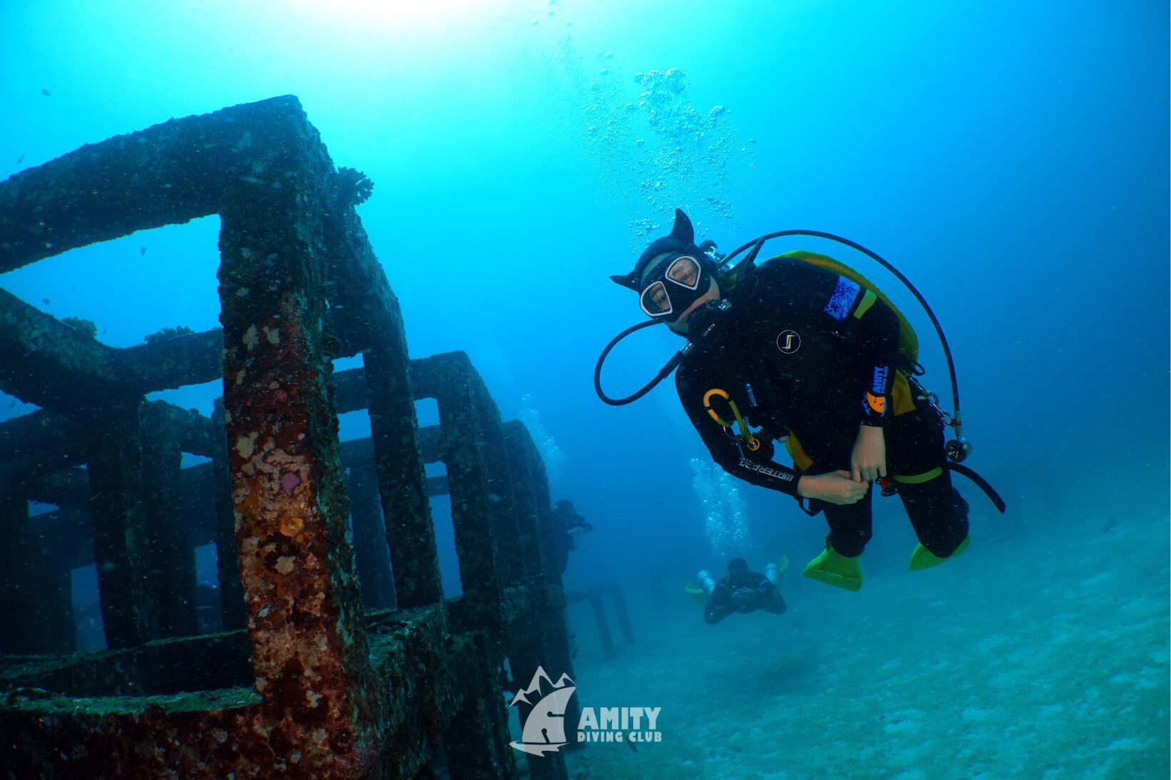 Amity trip13