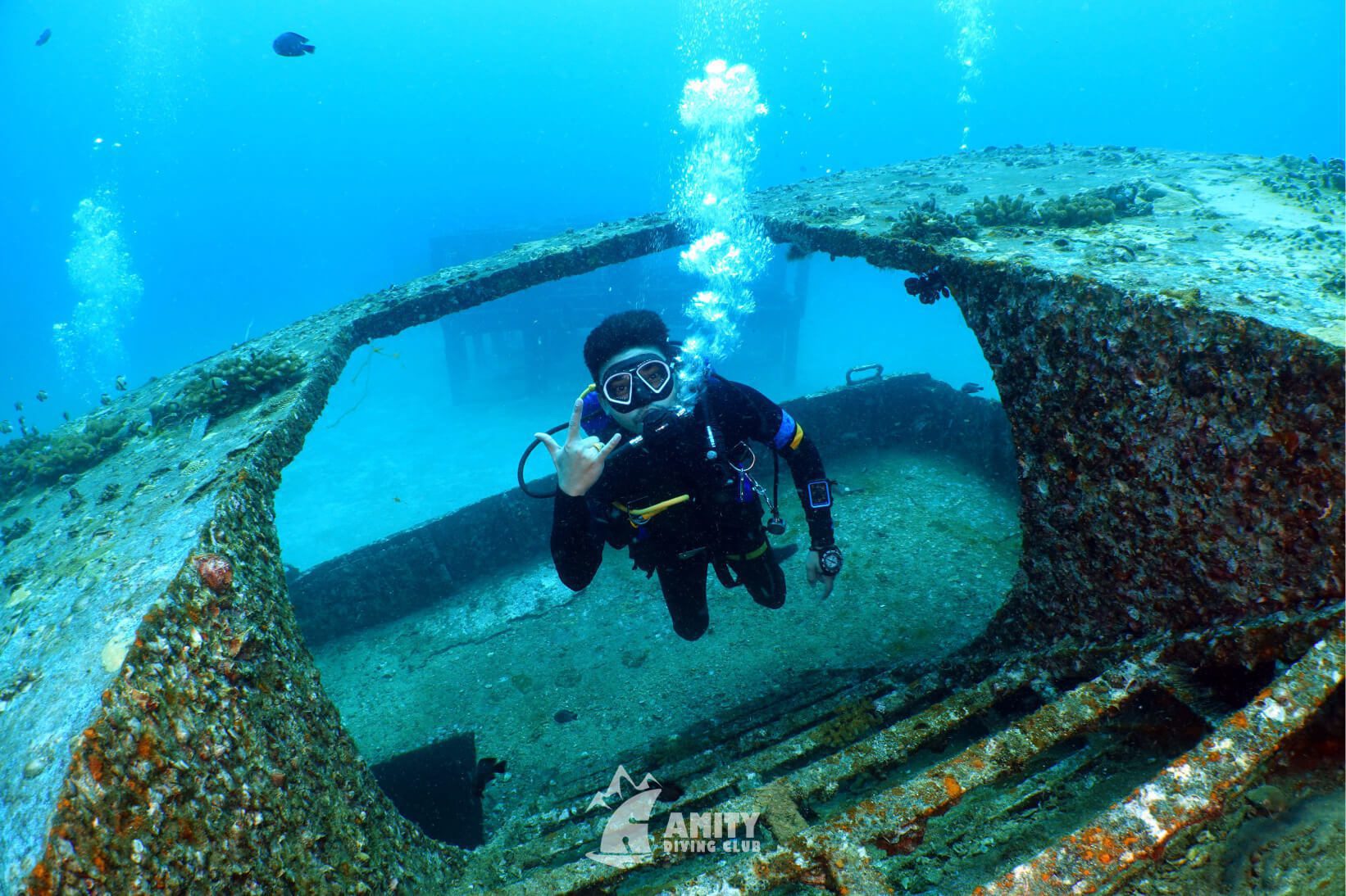 Amity trip13