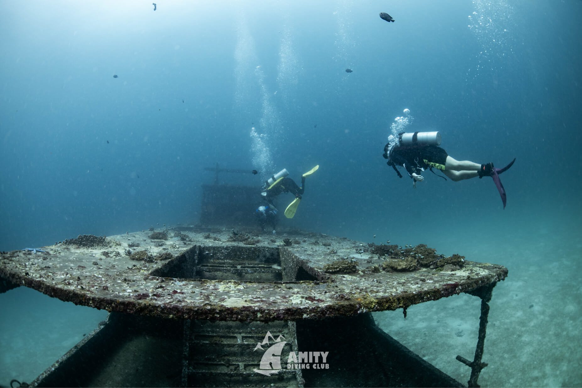 Amity trip13