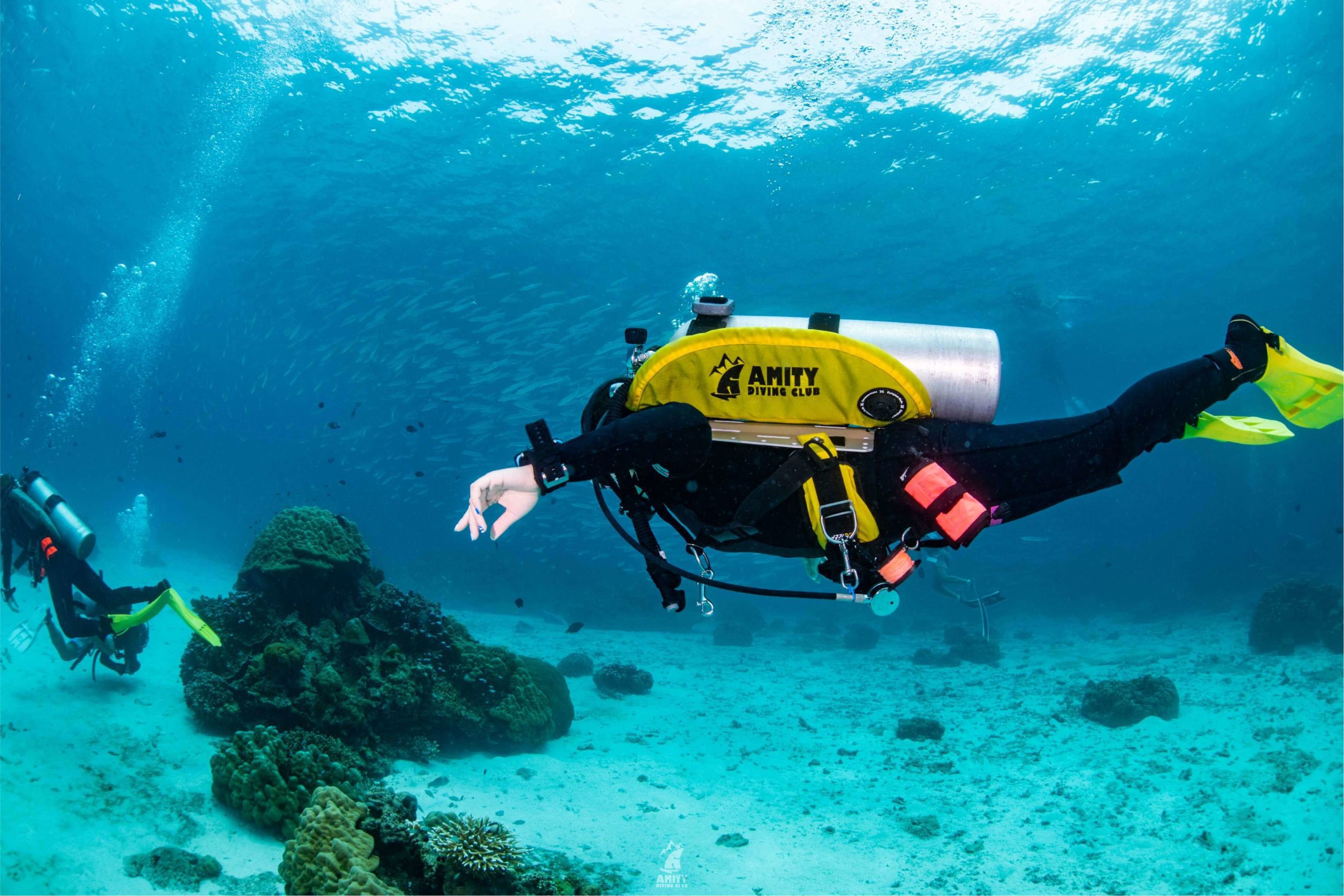 Amity Diving Club diver underwater in full scuba equipment