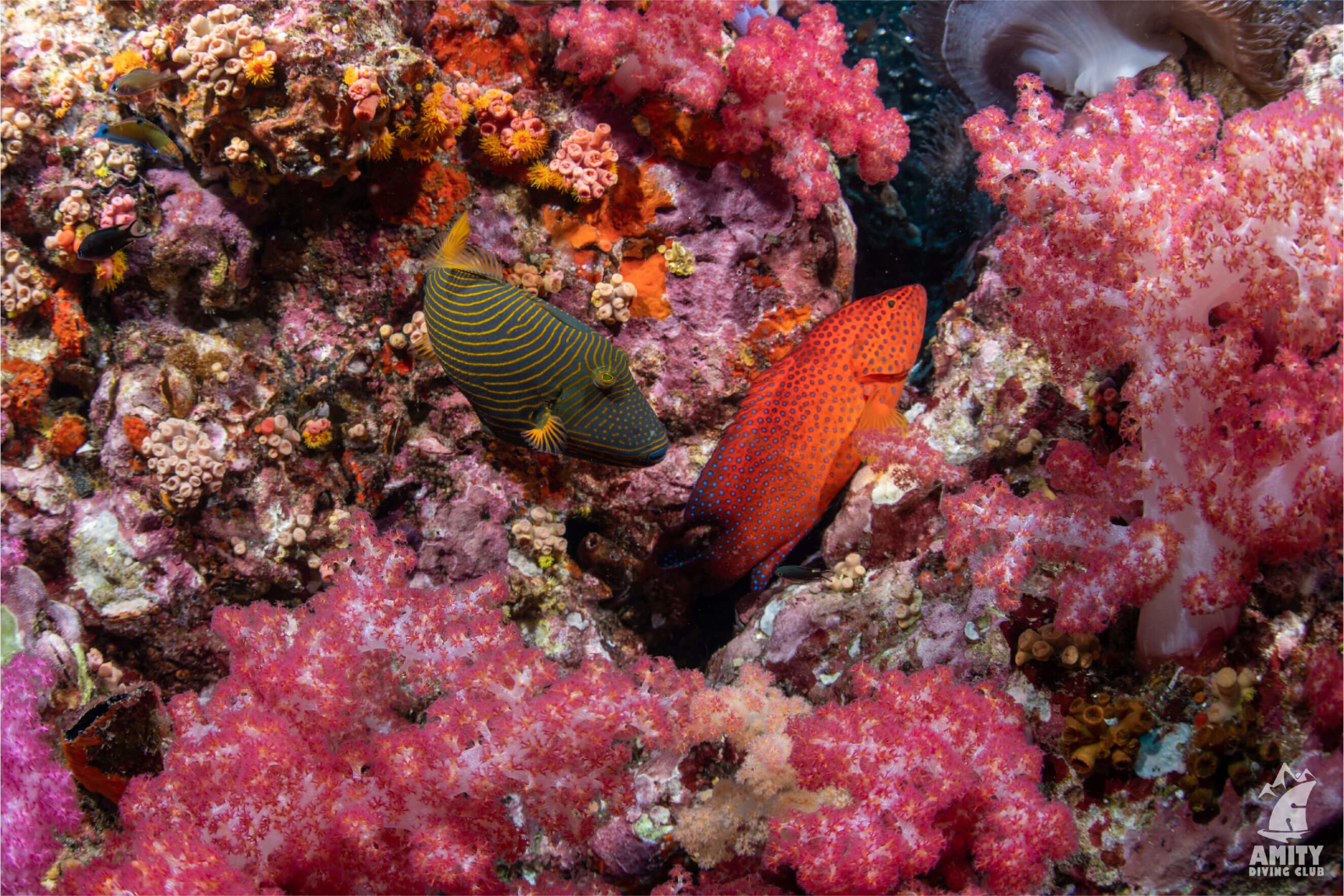 Richelieu Rock trip6