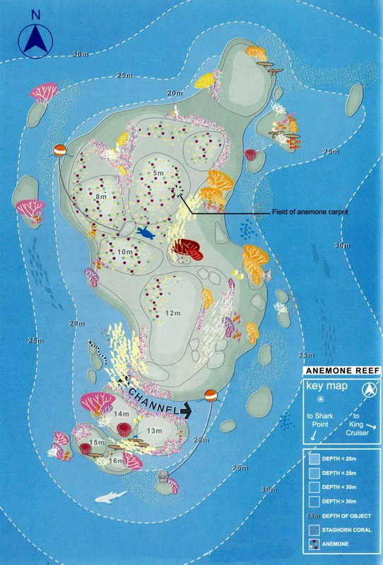 Anemone Reef dive site