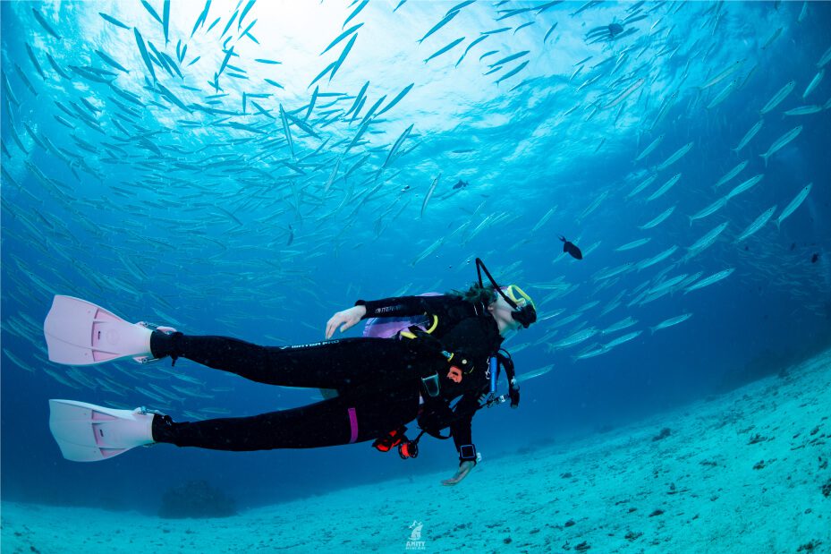 Racha Yai & Racha Noi Islands dive site