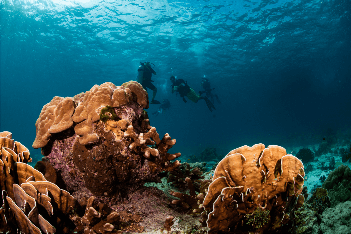 similan9