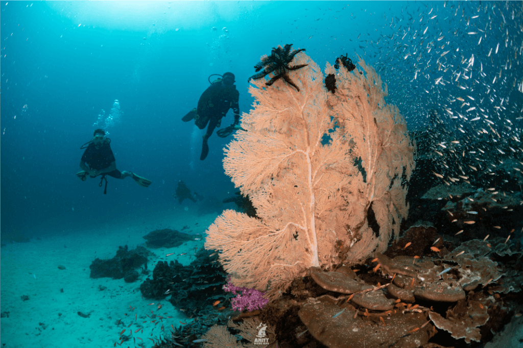 Similan Islands4