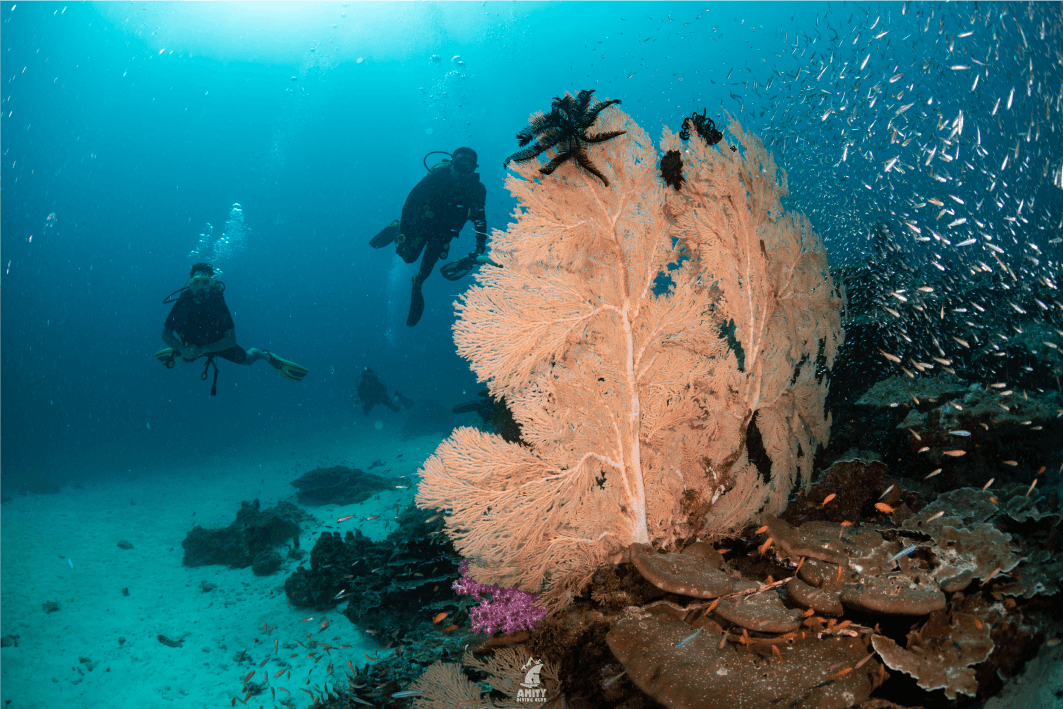 similan2