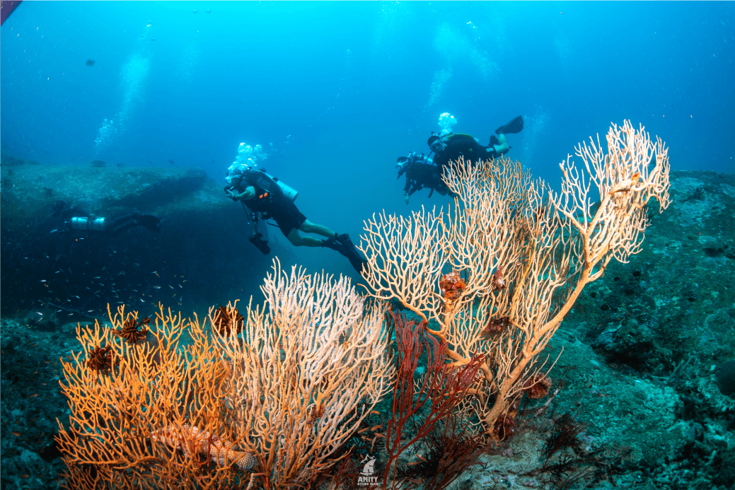 similan3