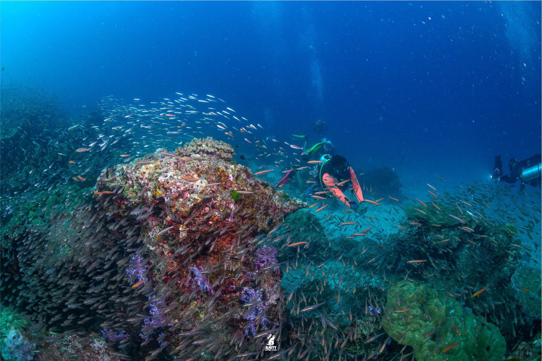surin island1