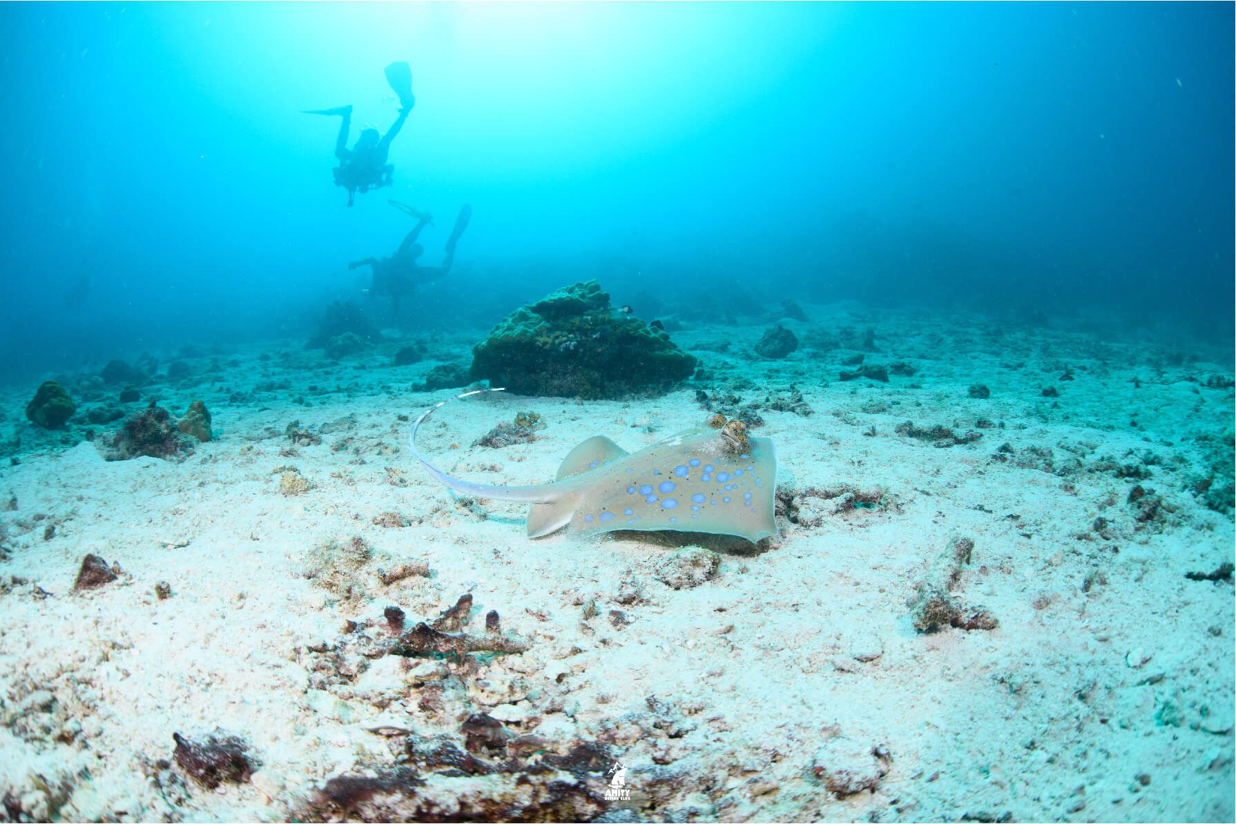 surin island2