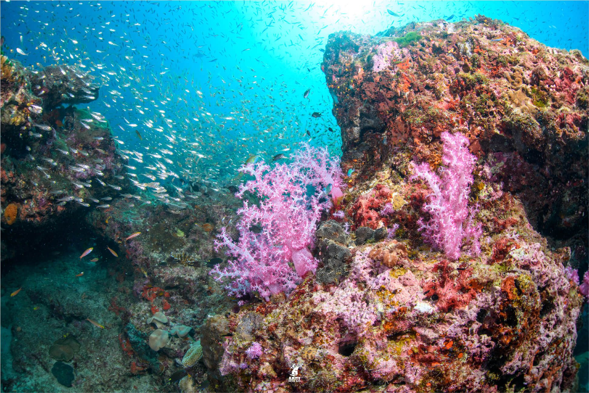 surin island3