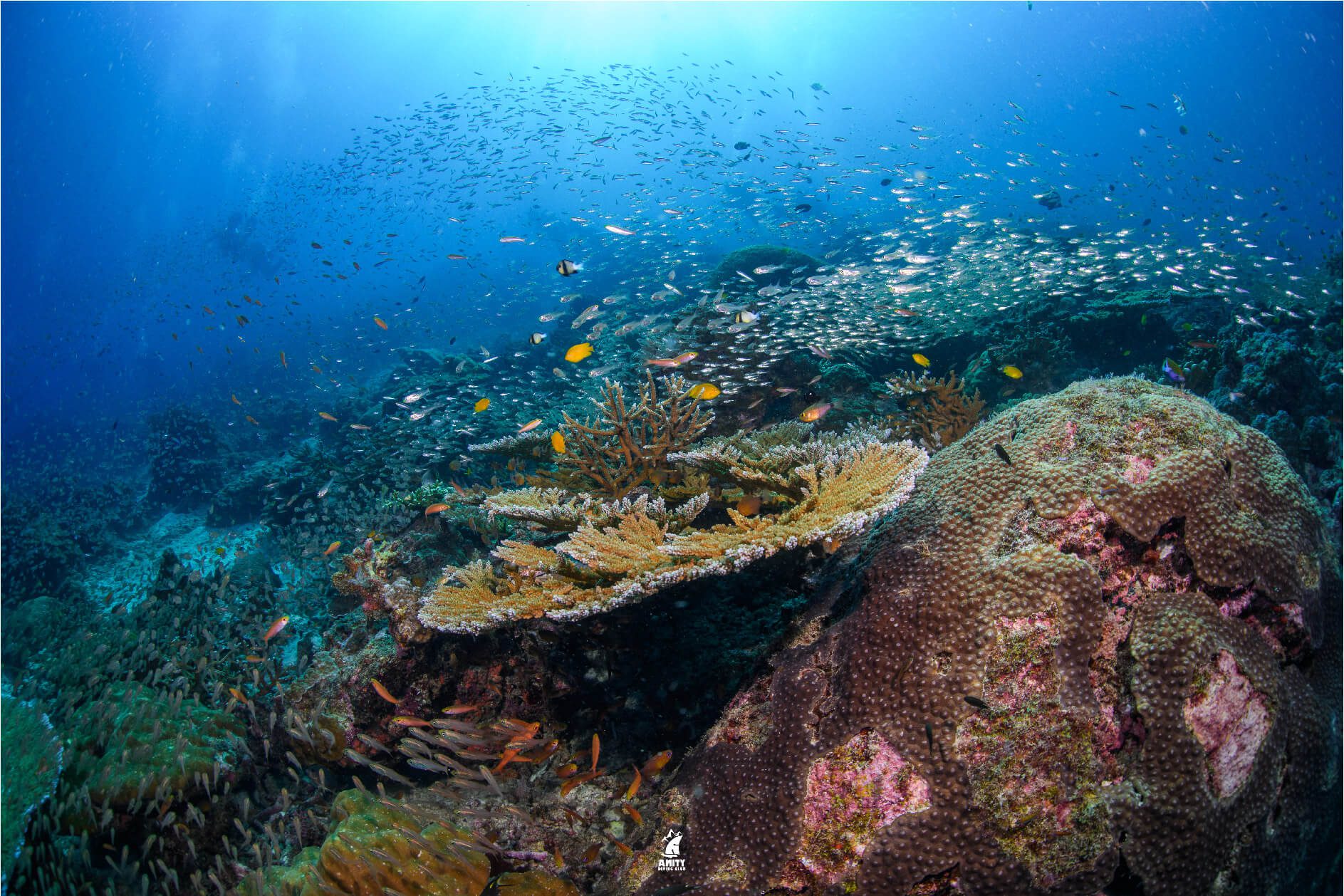 surin island4