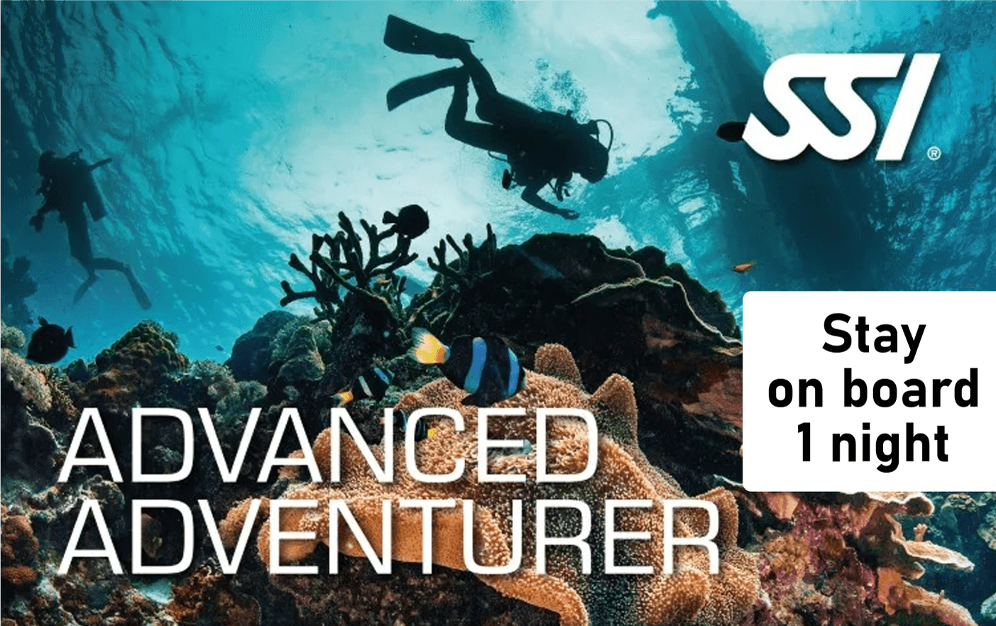 SSI Advance Adventuler